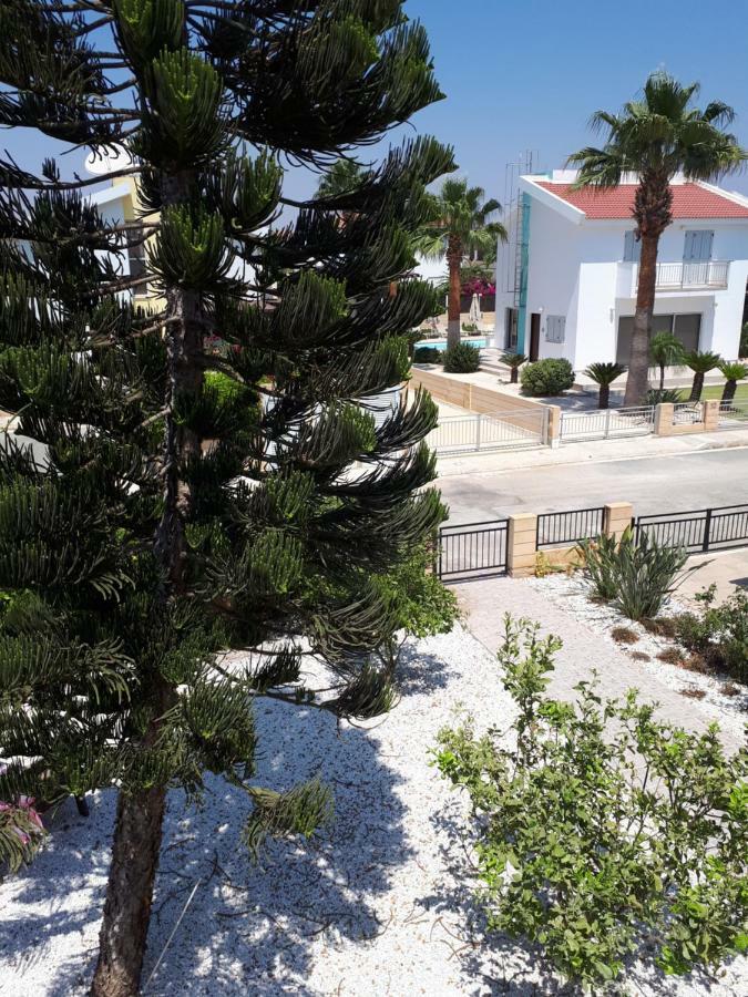 Villa Bouboulina Cyprus Ajía Nápa Eksteriør bilde