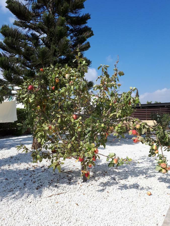 Villa Bouboulina Cyprus Ajía Nápa Eksteriør bilde